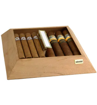 Bakke til adorini humidor Pyramid M deluxe foto 7