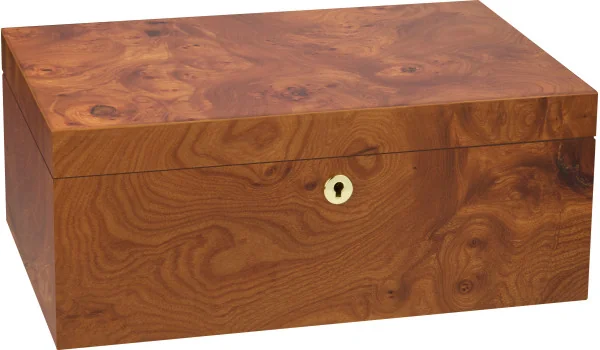 adorini Humidor Elm Burl Specielt Udvalgt Grande