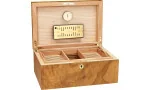 adorini Humidor Olive Ash Burl Specielt Udvalgt Grande