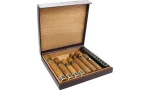 Bulldog af Dunhill rejsehumidor 10 lilla
