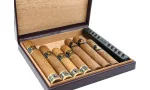 Bulldog af Dunhill rejsehumidor 10 lilla