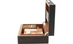 White Spot af Dunhill Humidor Macassar 50
