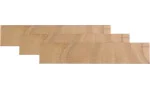 adorini Divider lang til Primo Deluxe Humidor, 3-pak